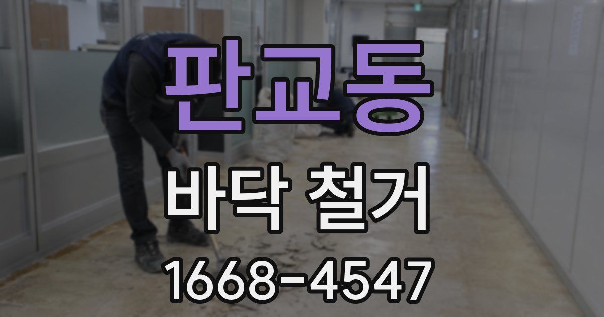 판교동 바닥 철거