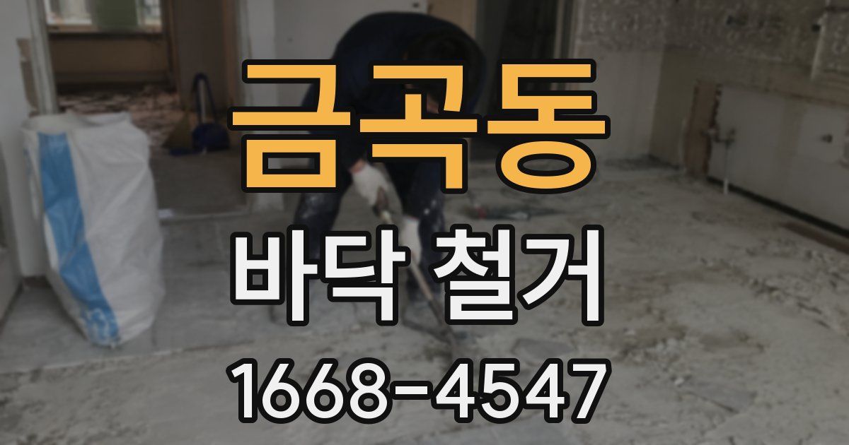 금곡동 바닥 철거