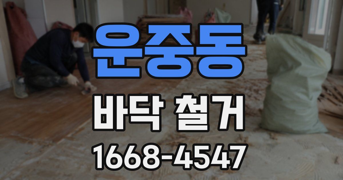 운중동 바닥 철거