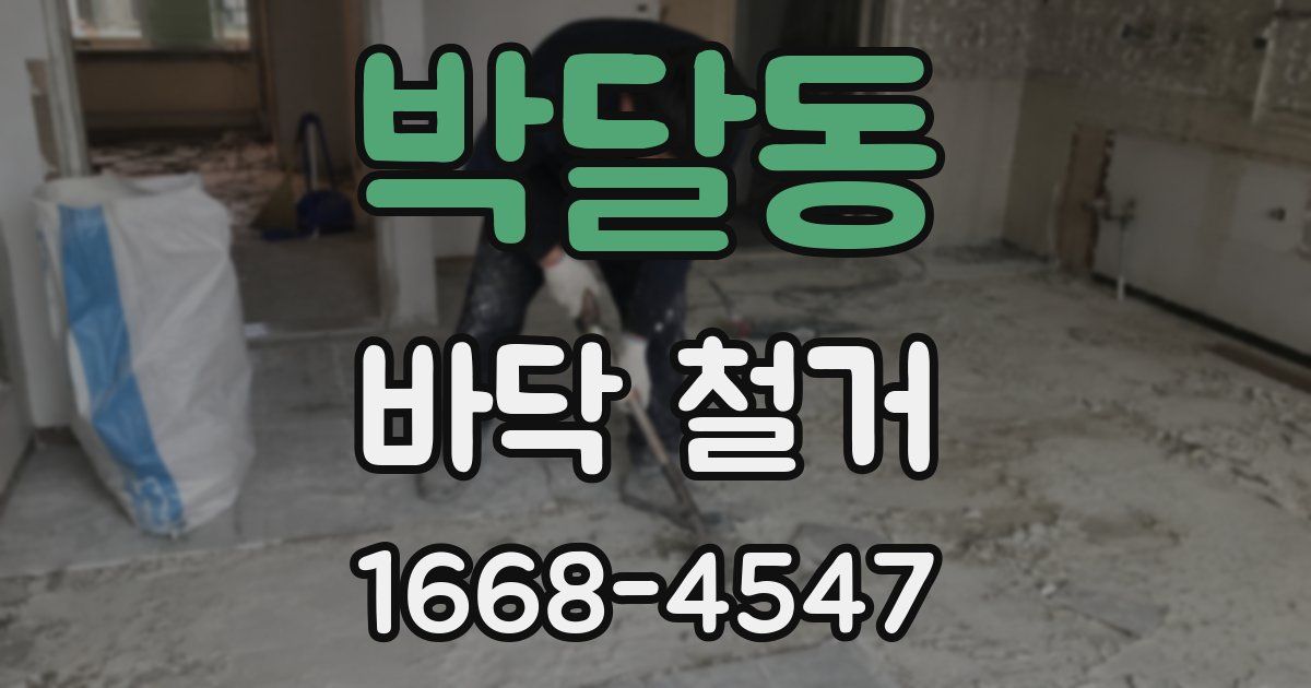 박달동 바닥 철거