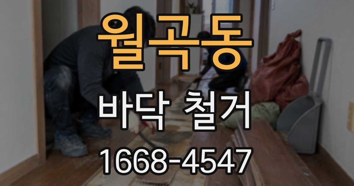 월곡동 바닥 철거