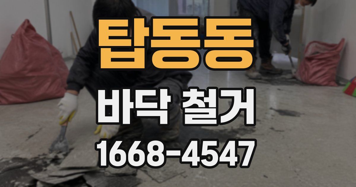 탑동동 바닥 철거