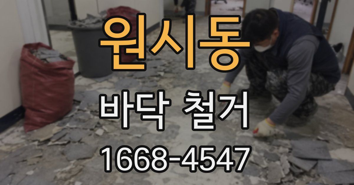 원시동 바닥 철거