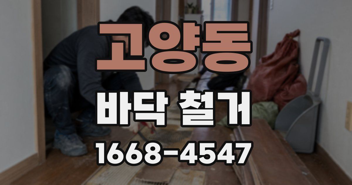 고양동 바닥 철거