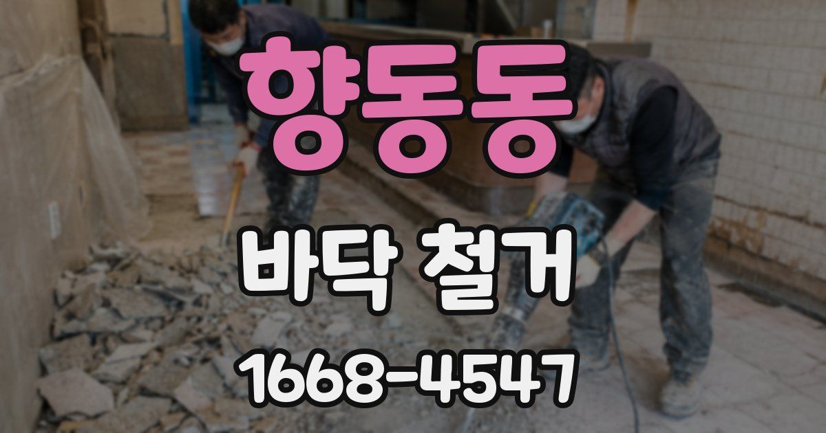향동동 바닥 철거