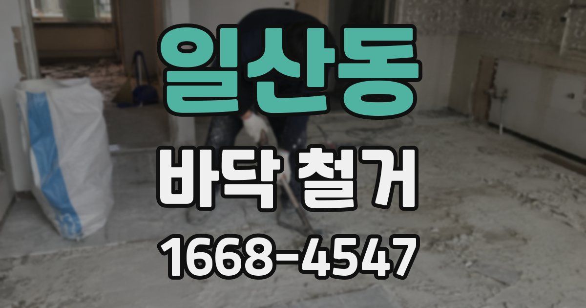 일산동 바닥 철거