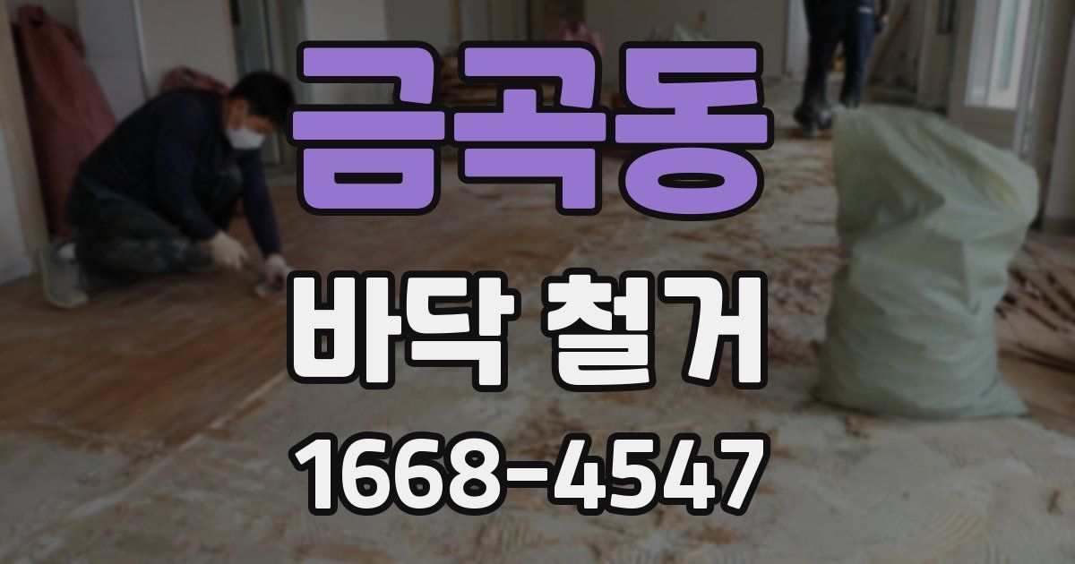 금곡동 바닥 철거
