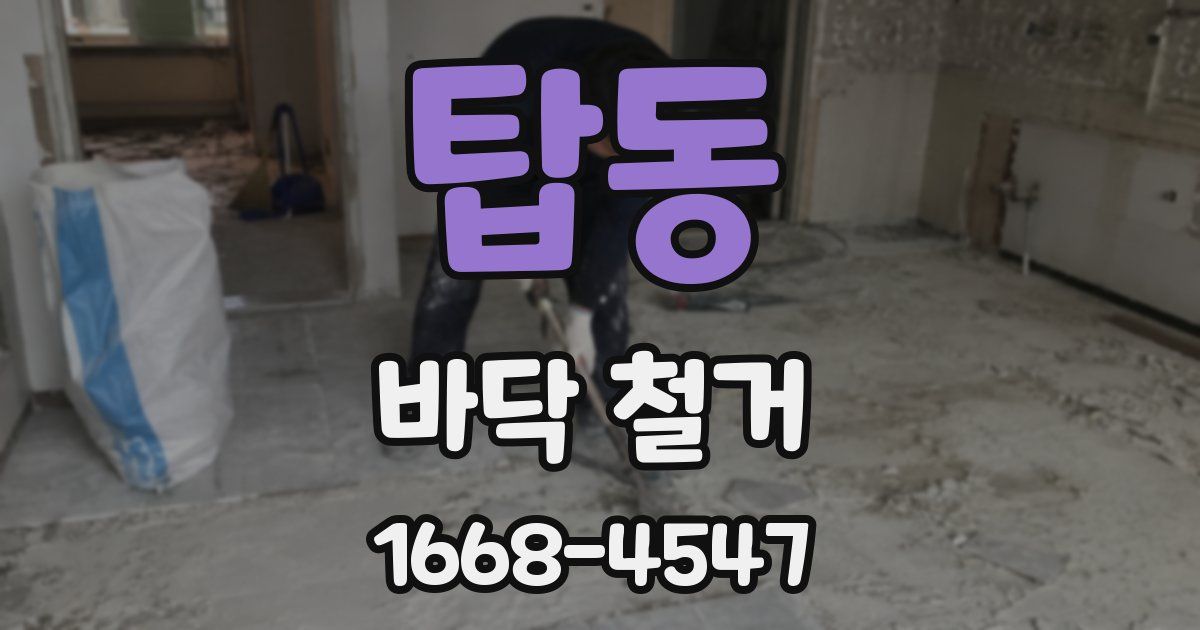 탑동 바닥 철거