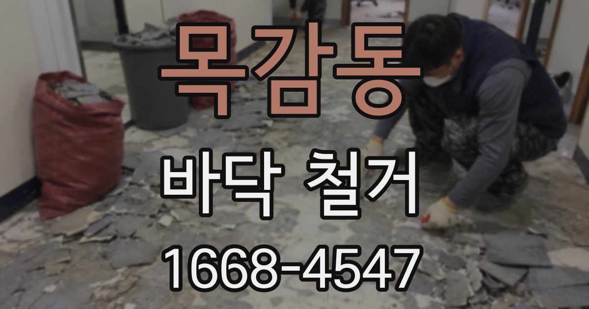 목감동 바닥 철거