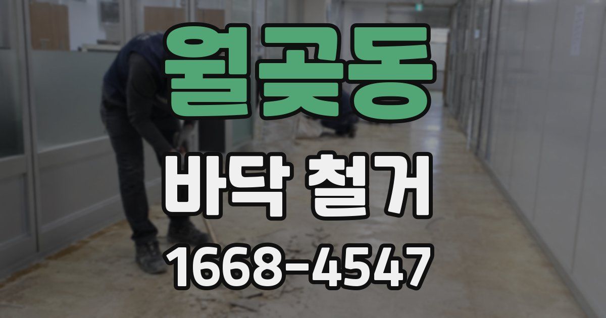 월곶동 바닥 철거
