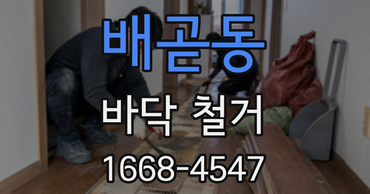 배곧동 바닥 철거