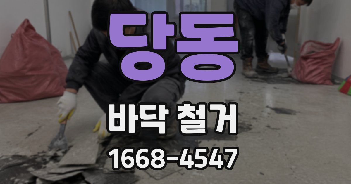 당동 바닥 철거
