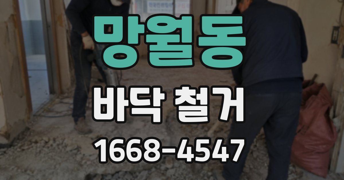 망월동 바닥 철거