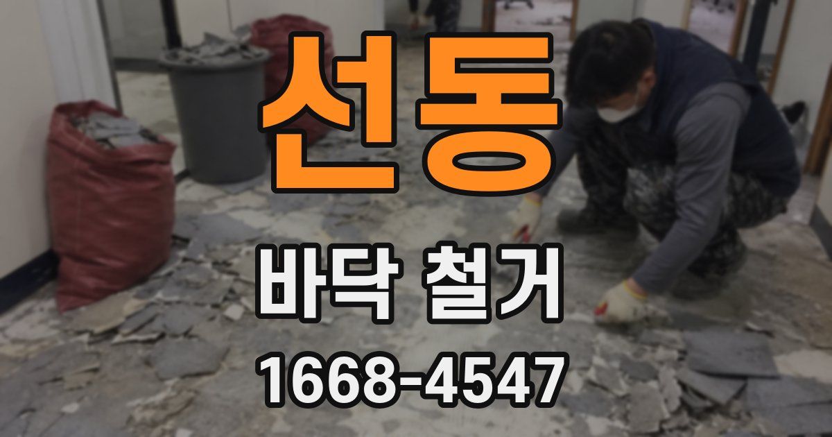 선동 바닥 철거