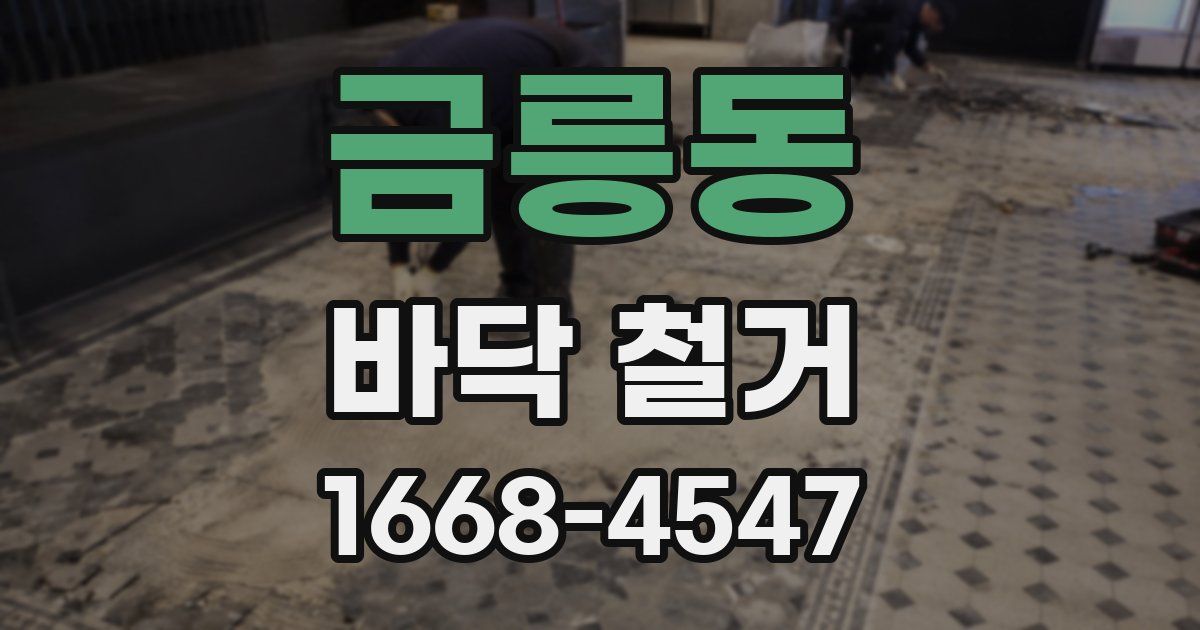 금릉동 바닥 철거