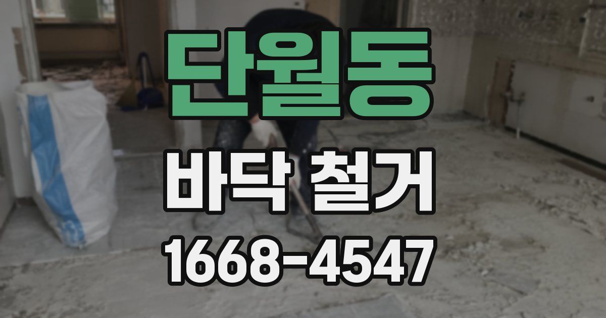 단월동 바닥 철거