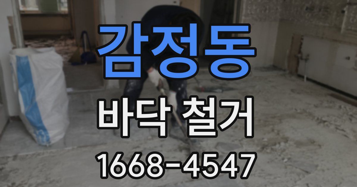 감정동 바닥 철거