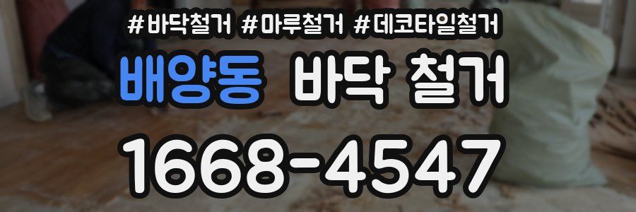 배양동 바닥 철거