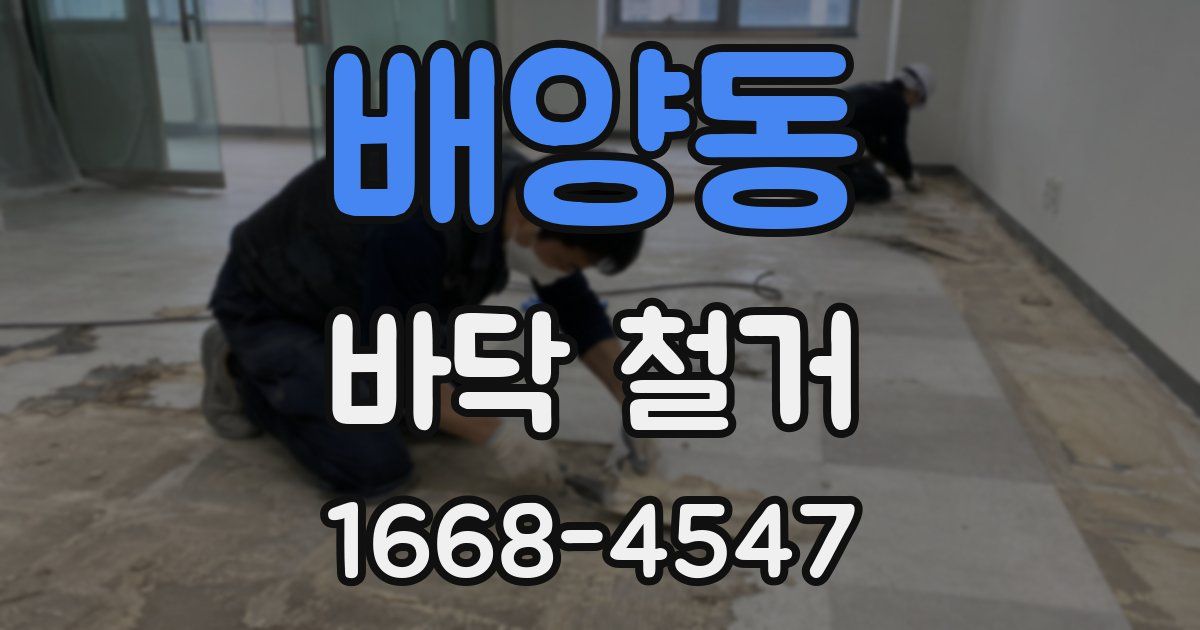 배양동 바닥 철거
