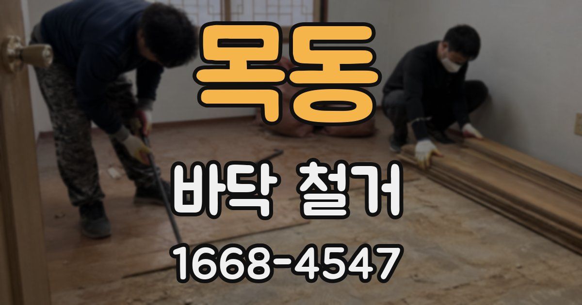 목동 바닥 철거