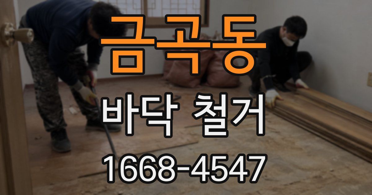 금곡동 바닥 철거