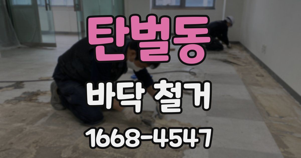 탄벌동 바닥 철거