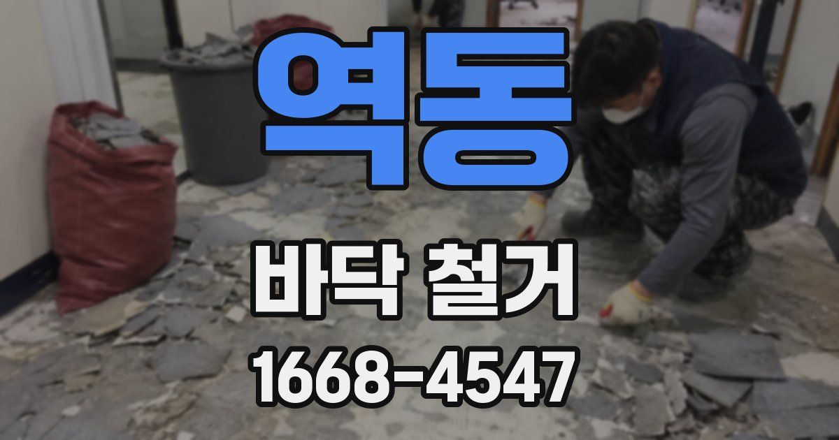 역동 바닥 철거