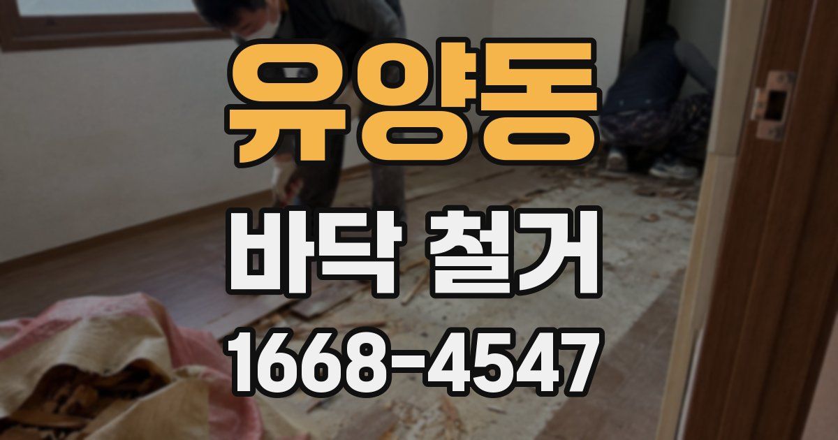 유양동 바닥 철거