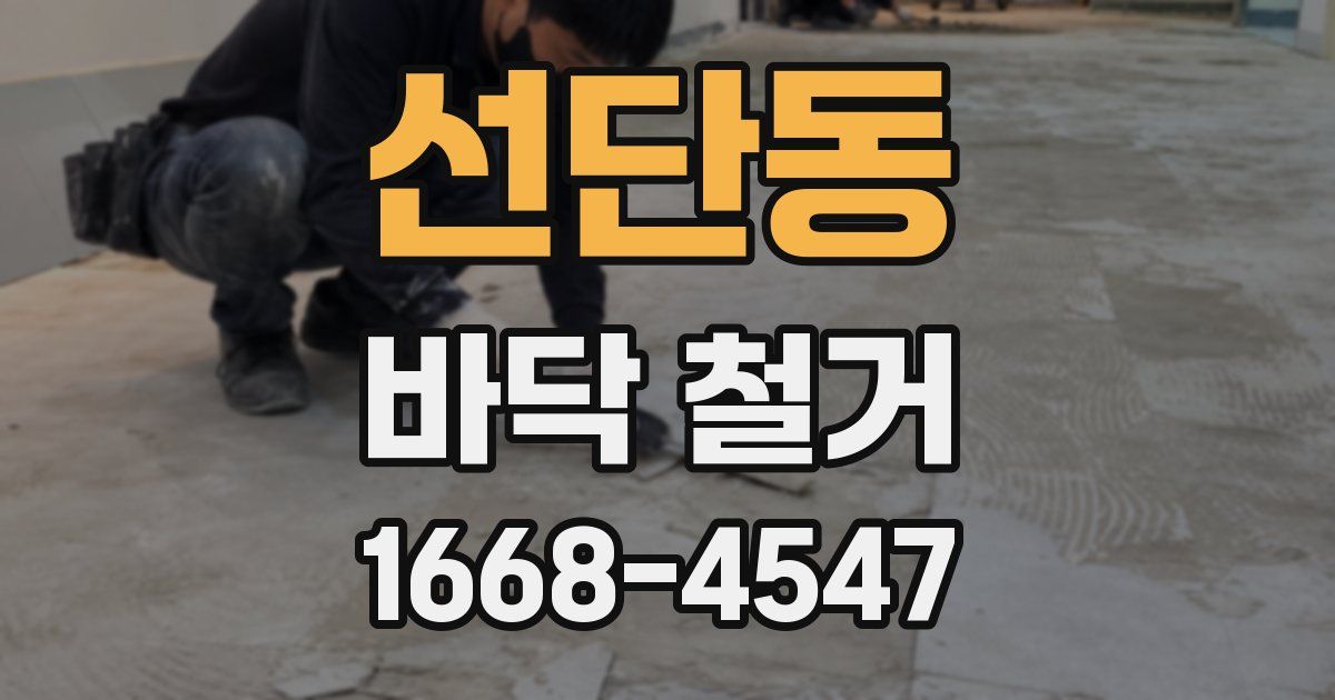 선단동 바닥 철거