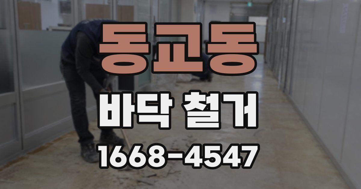 동교동 바닥 철거