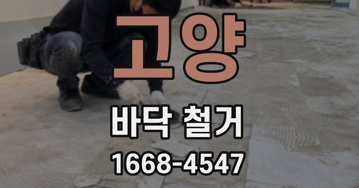 고양 바닥 철거