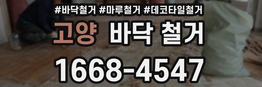 고양 바닥 철거