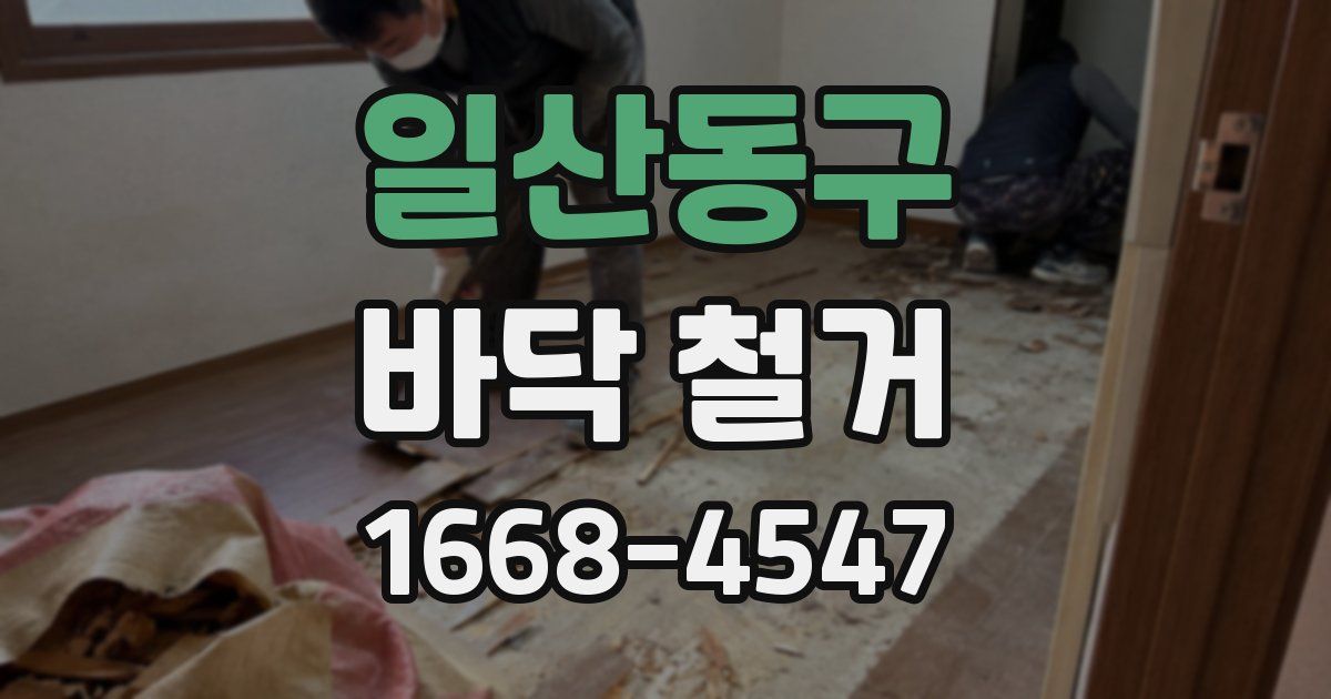 일산동구 바닥 철거