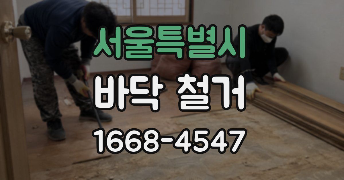 서울특별시 바닥 철거