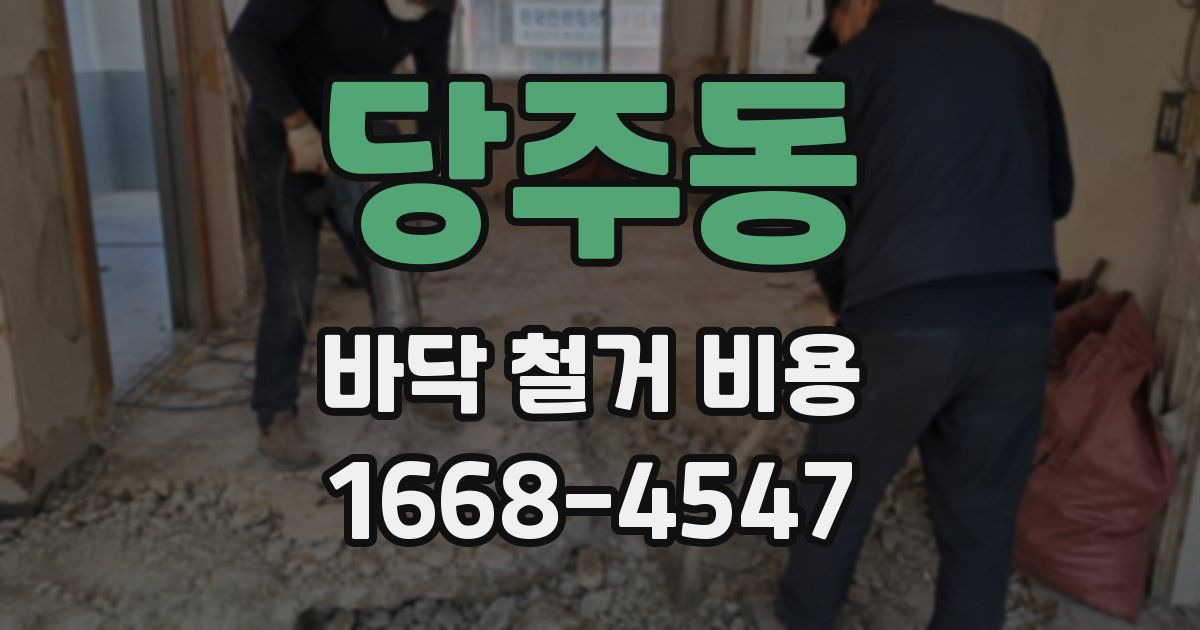 당주동 바닥 철거 비용