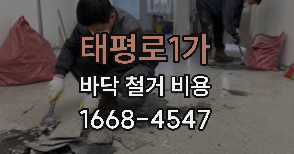 태평로1가 바닥 철거 비용