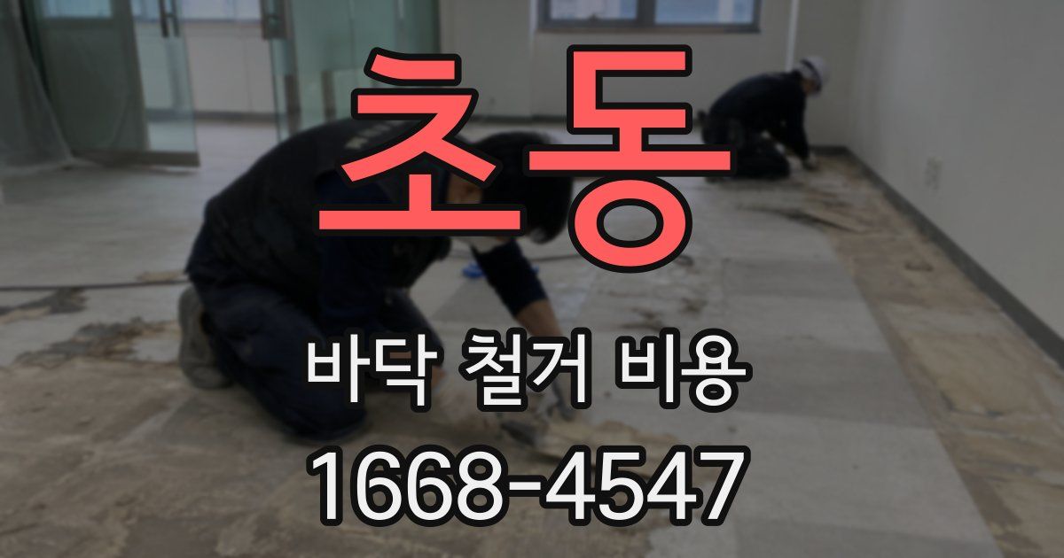 초동 바닥 철거 비용