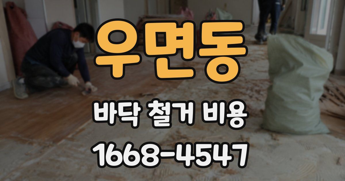 우면동 바닥 철거 비용