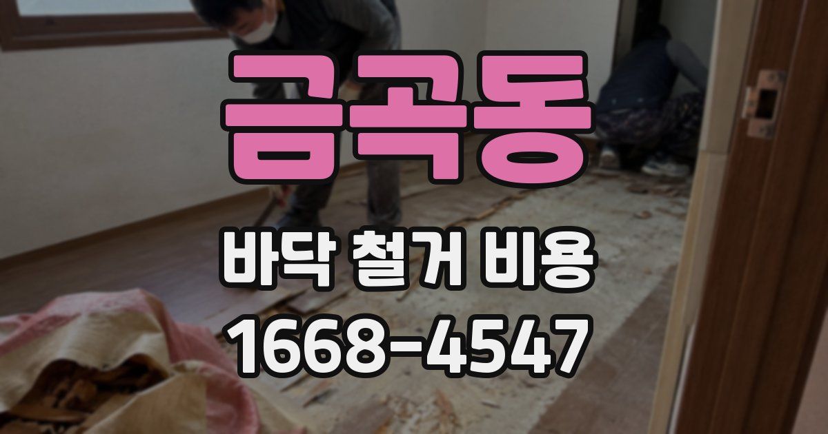 금곡동 바닥 철거 비용