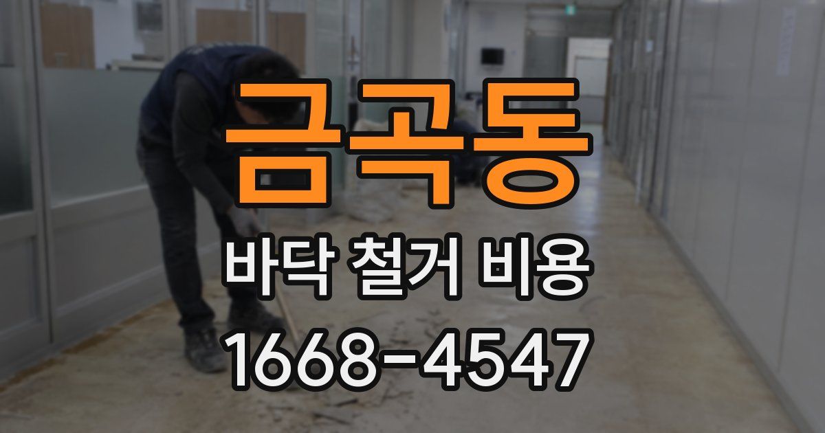 금곡동 바닥 철거 비용