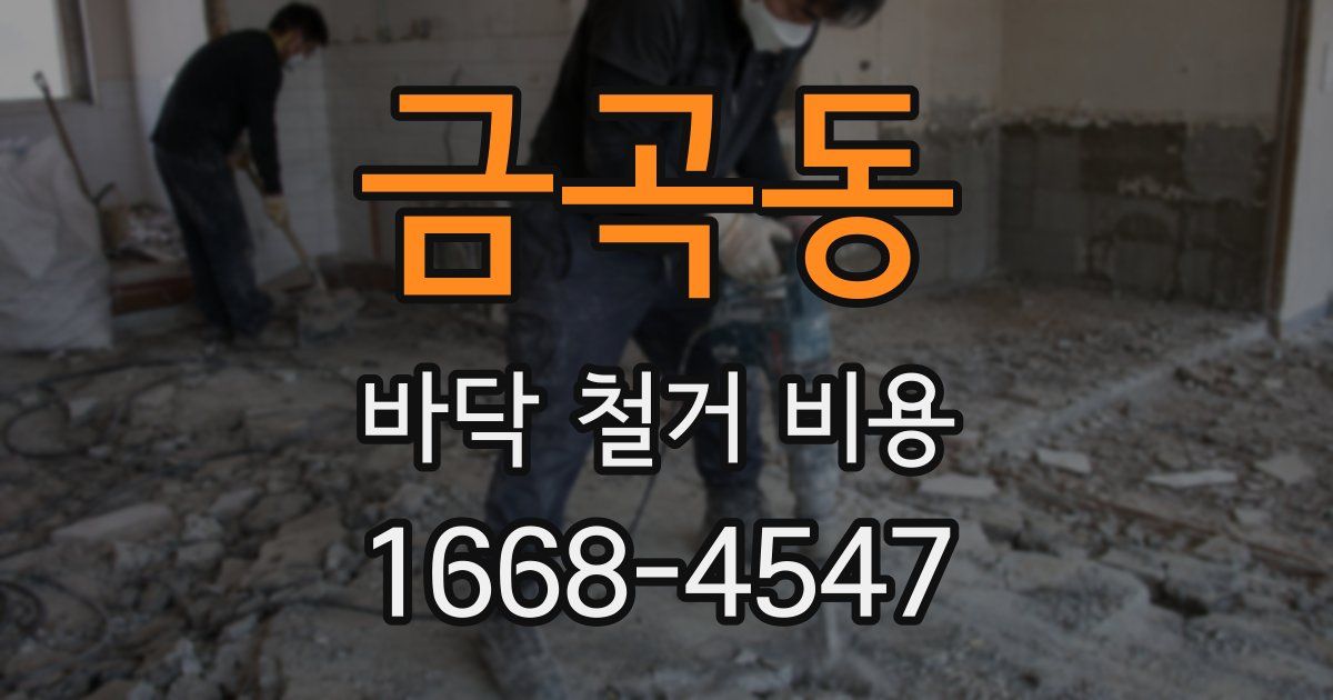 금곡동 바닥 철거 비용