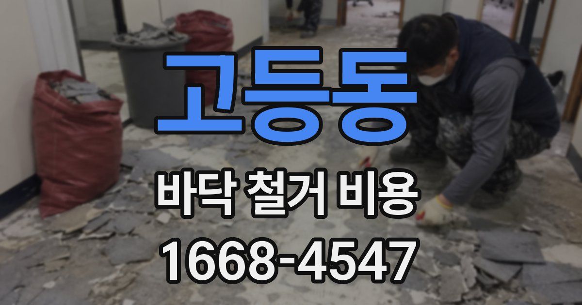 고등동 바닥 철거 비용