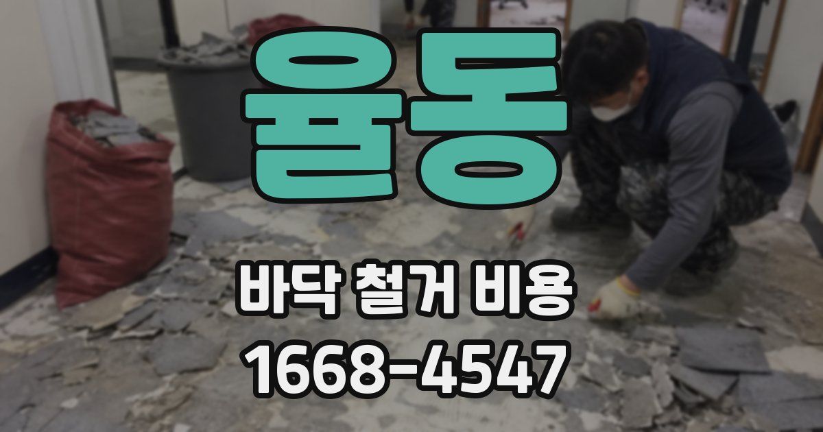 율동 바닥 철거 비용