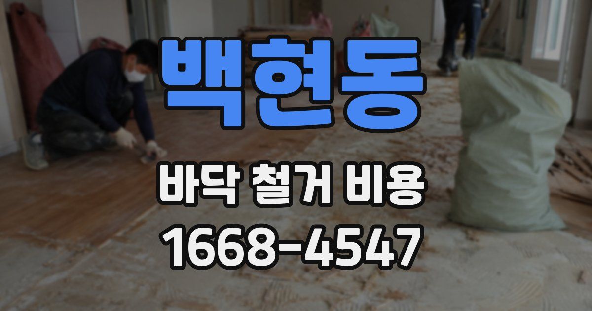 백현동 바닥 철거 비용