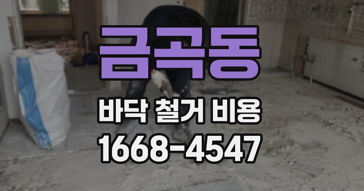 금곡동 바닥 철거 비용