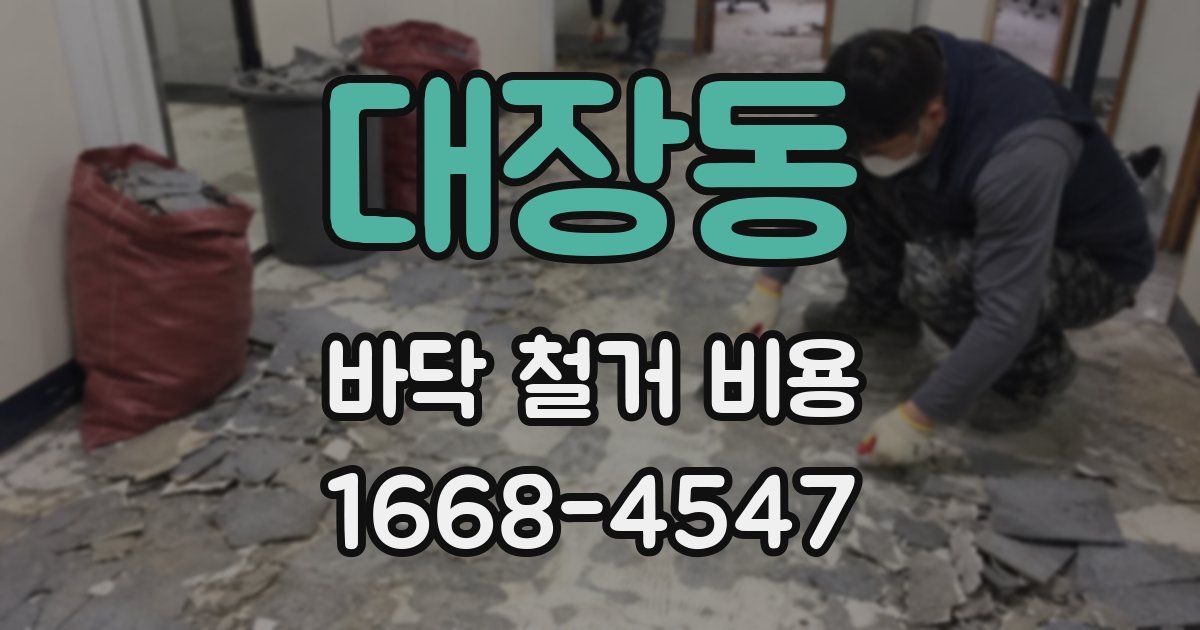 대장동 바닥 철거 비용