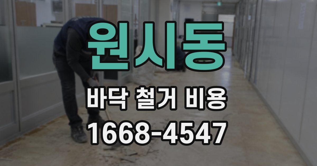 원시동 바닥 철거 비용