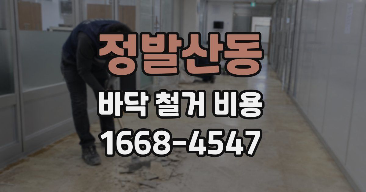 정발산동 바닥 철거 비용