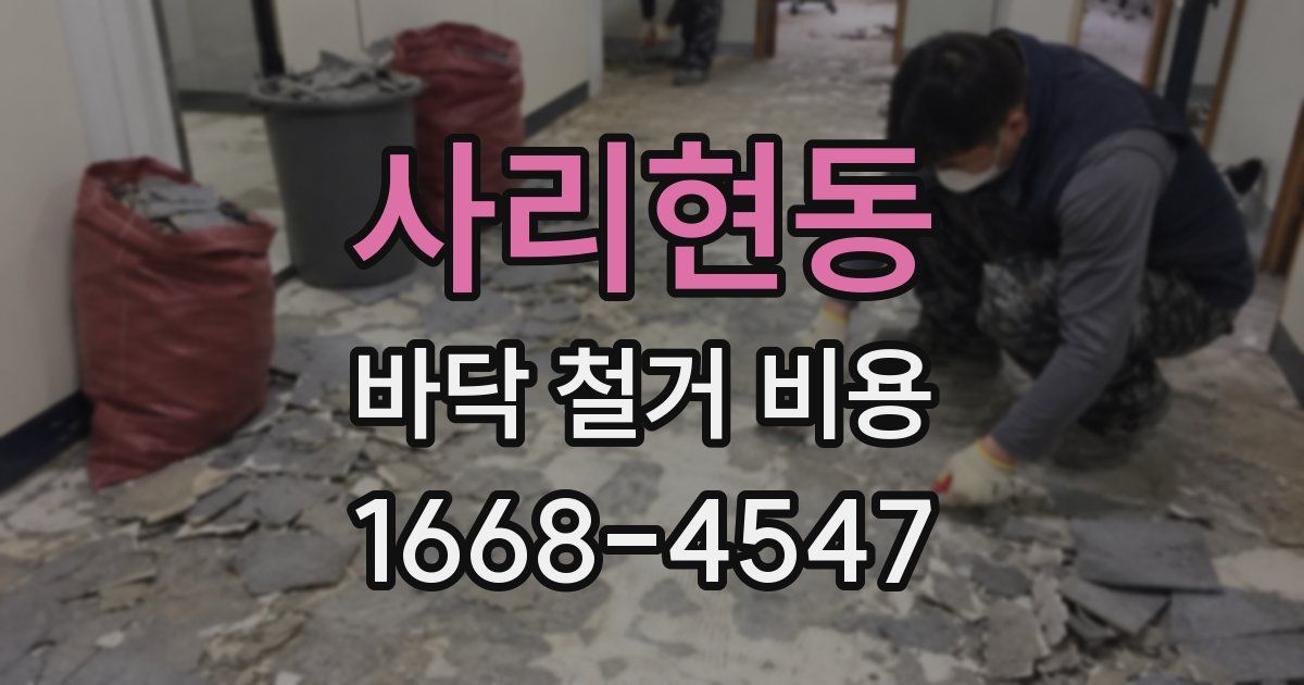 사리현동 바닥 철거 비용