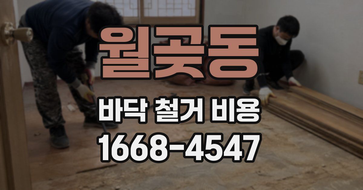 월곶동 바닥 철거 비용